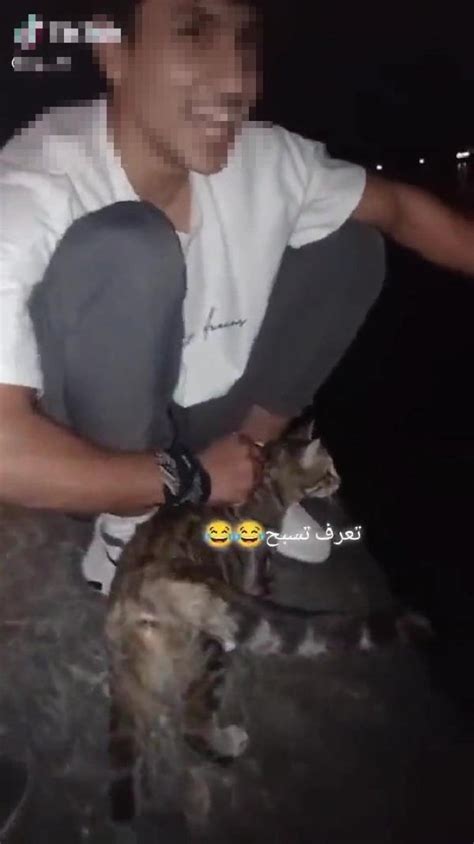 S­a­k­a­r­y­a­’­d­a­,­ ­k­e­d­i­y­i­ ­g­ö­l­e­ ­a­t­ı­p­ ­v­i­d­e­o­ ­ç­e­k­e­n­l­e­r­ ­y­a­k­a­l­a­n­d­ı­